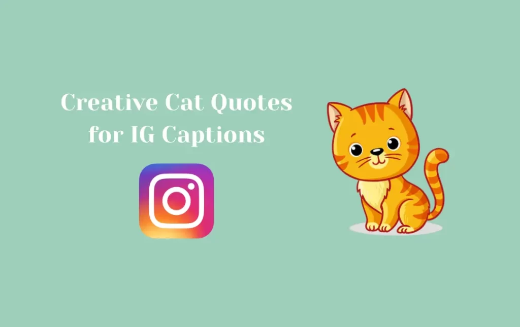 Creative Cat Quotes for IG Captions