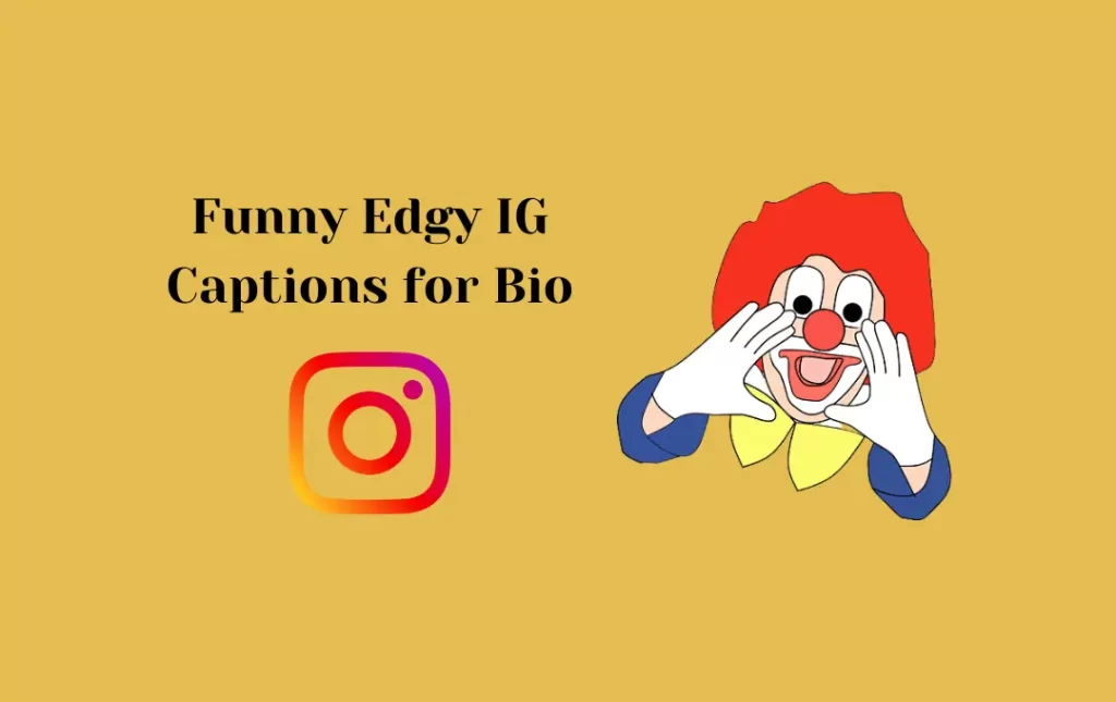 Funny Edgy IG Captions for Bio