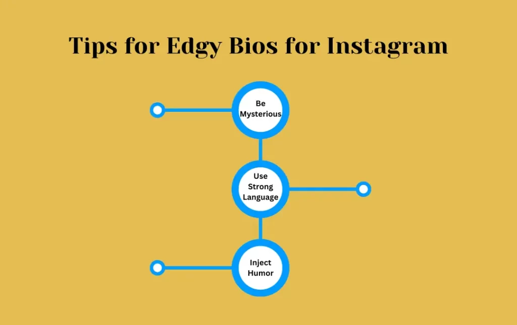 Infographics: Tips for Edgy Bios for Instagram