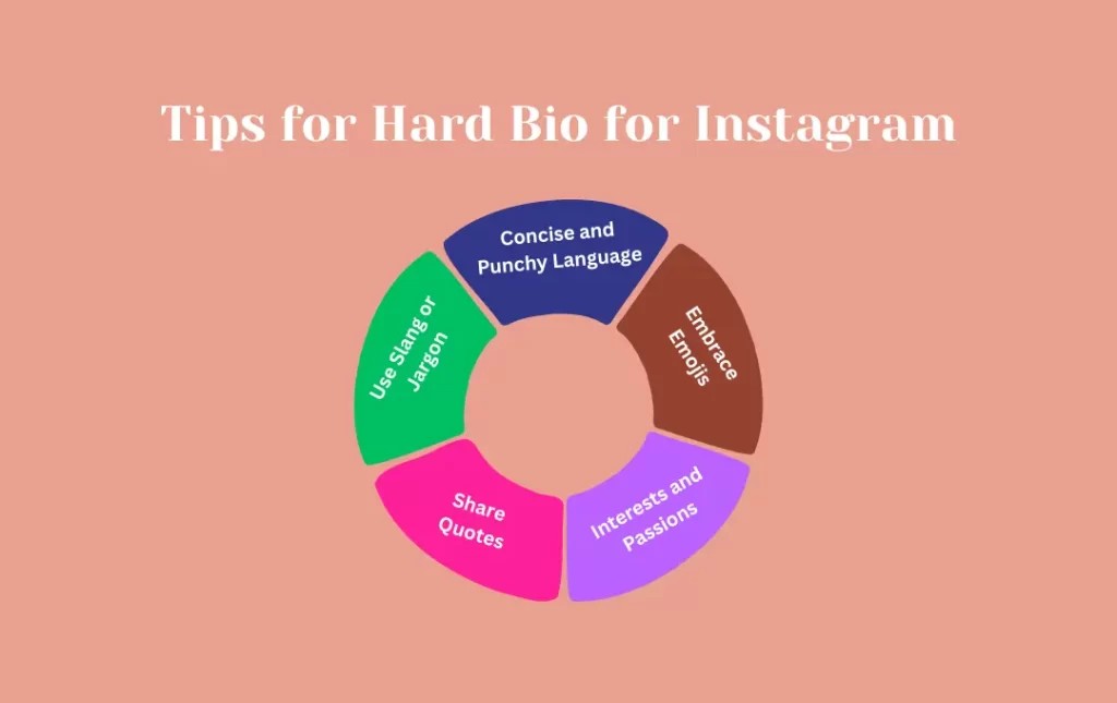 Infographics: Tips for Hard Bio for Instagram
