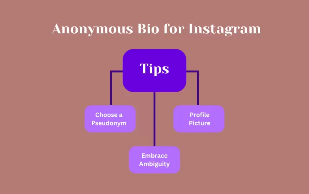 Infographics:  Tips for Anonymous  Instagram Bio