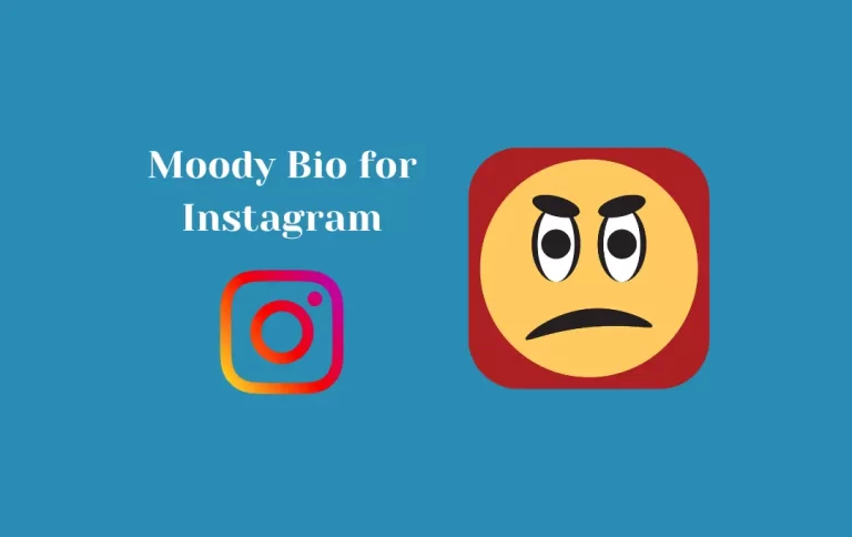 Awesome Moody Bio for Instagram | Moody Captions & Quotes for Instagram Bio