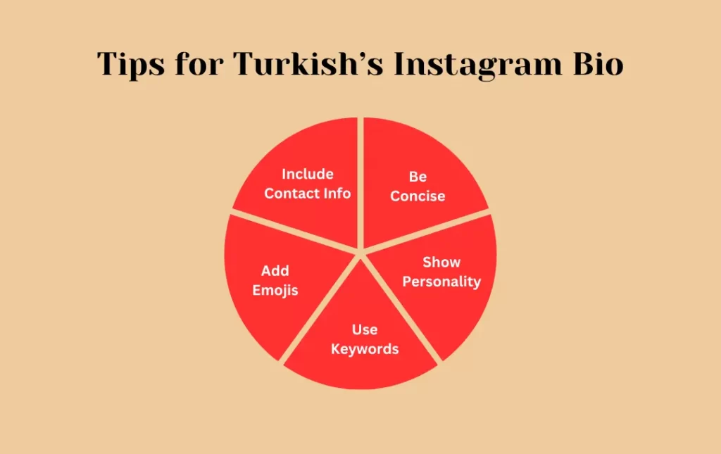 Infographics: Tips for Turkish’s Instagram Bio