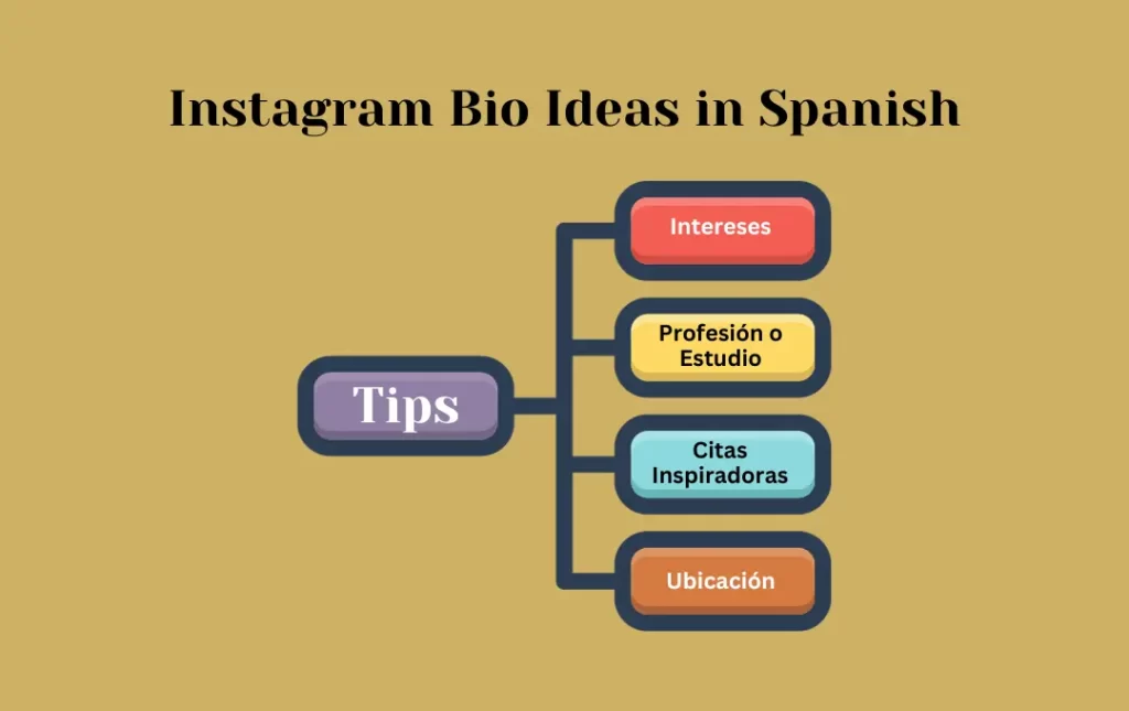 Infographics:Tips for Instagram Bio Ideas in Spanish