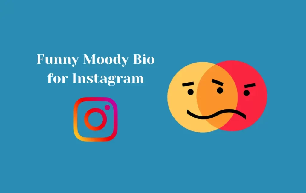 Funny Moody Bio for Instagram