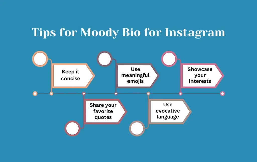 Infographics: Tips for Moody Bio for Instagram