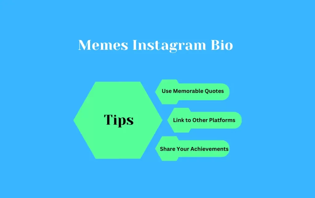 Infographics: Tips for Memes Instagram Bio 