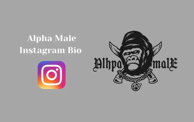 Best Alpha Male Instagram Bio | Inspiring Alpha Male Captions & Quotes  for Instagram Bio