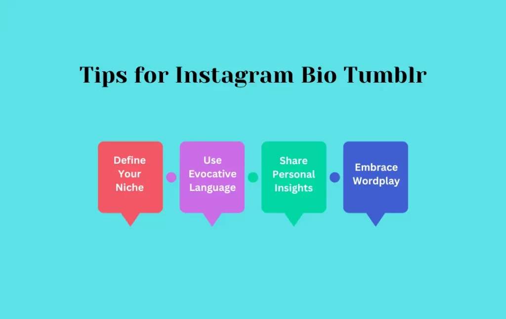 Infographics:: Tips for Instagram Bio Tumblr