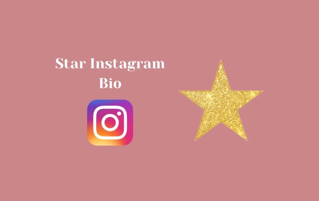 Star Instagram Bio