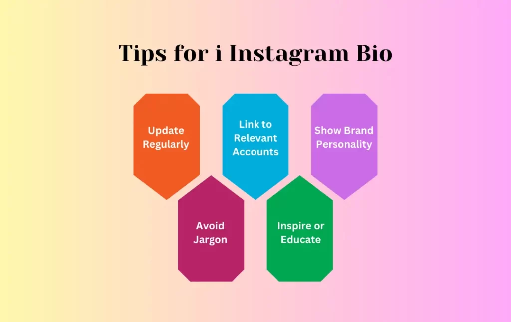 Infographics: Tips for i Instagram Bio