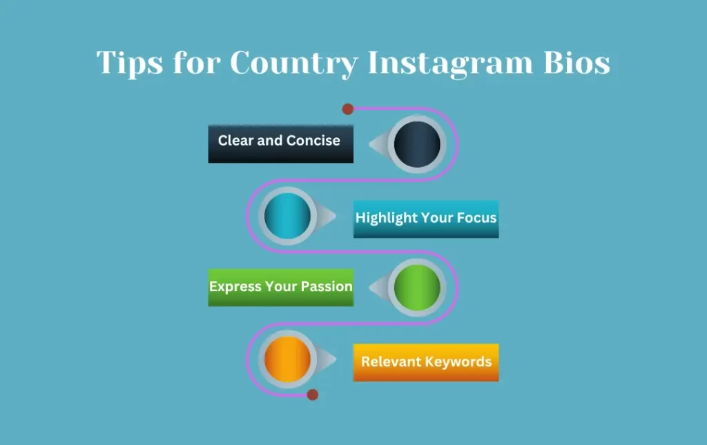 Infographics: Tips for Country Instagram Bios