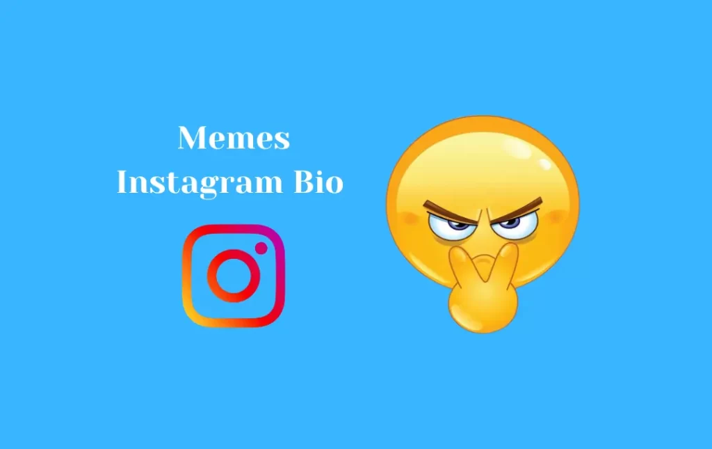 Memes Instagram Bio