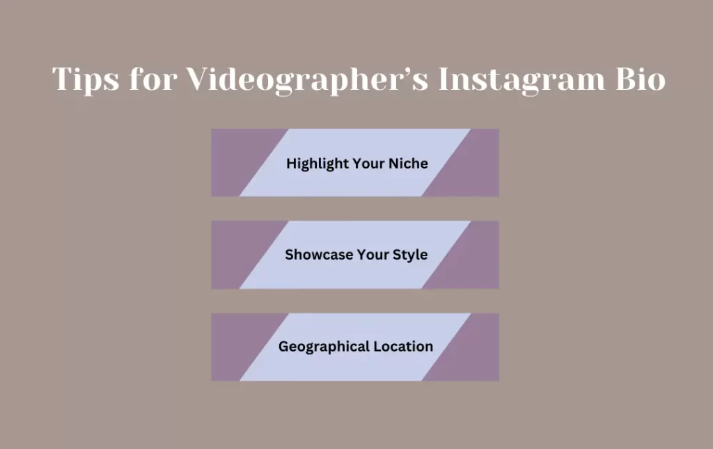 Infographics: Funny IG Bio for Videography