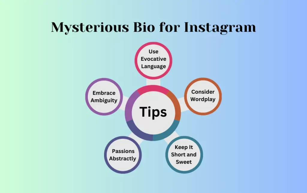 Infogfraphics: Tips for Mysterious Bio for Instagram