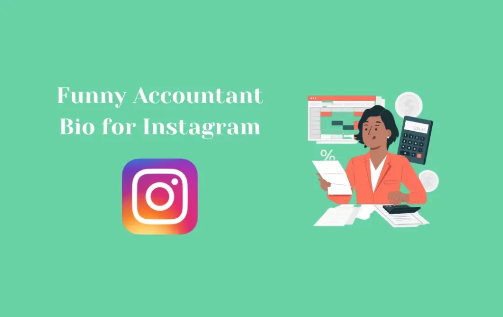 Funny Accountant Bio for Instagram