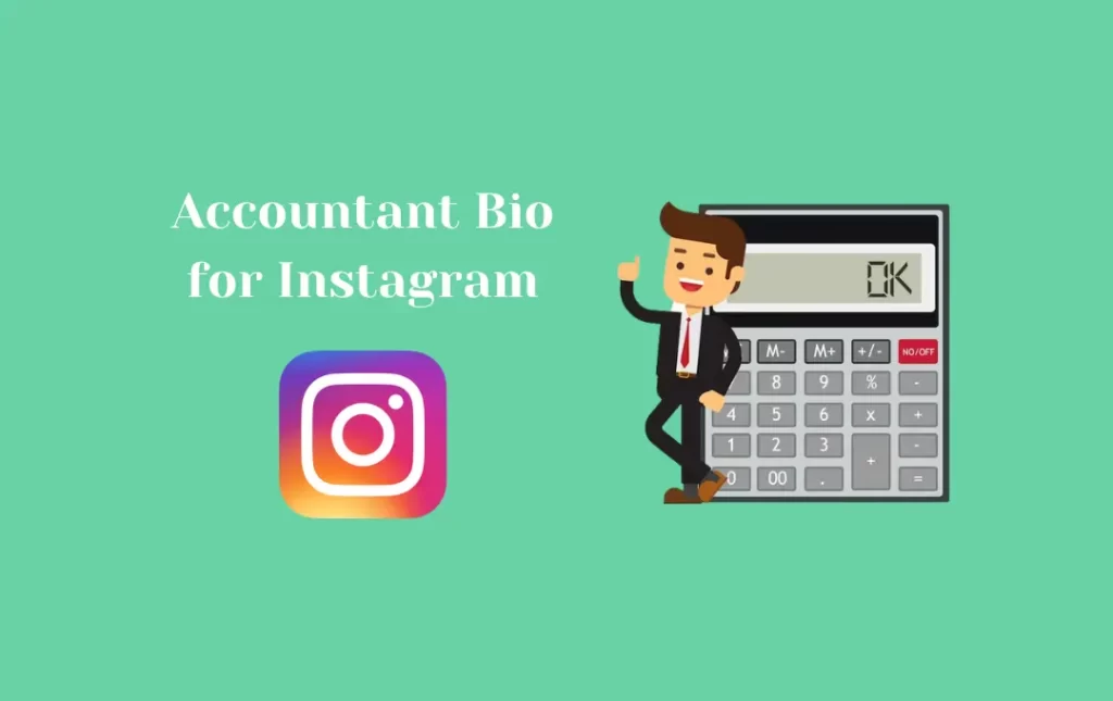 Accountant Bio for Instagram