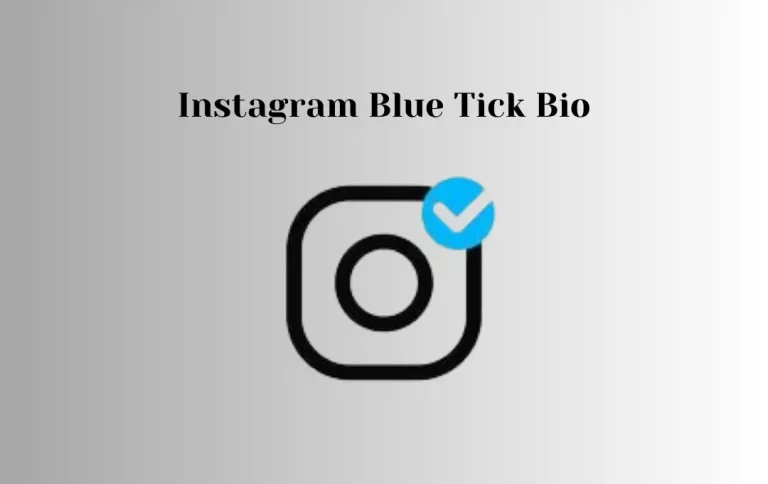 Best Instagram Blue Tick Bio | IG Blue Tick Bio