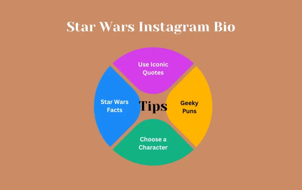 Infographics: Tips for Star Wars Instagram Bio