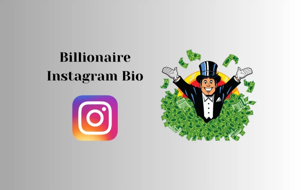 Billionaire Instagram Bio