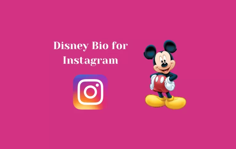 Perfect Disney Bio for Instagram | Disney Captions for Instagram Bio