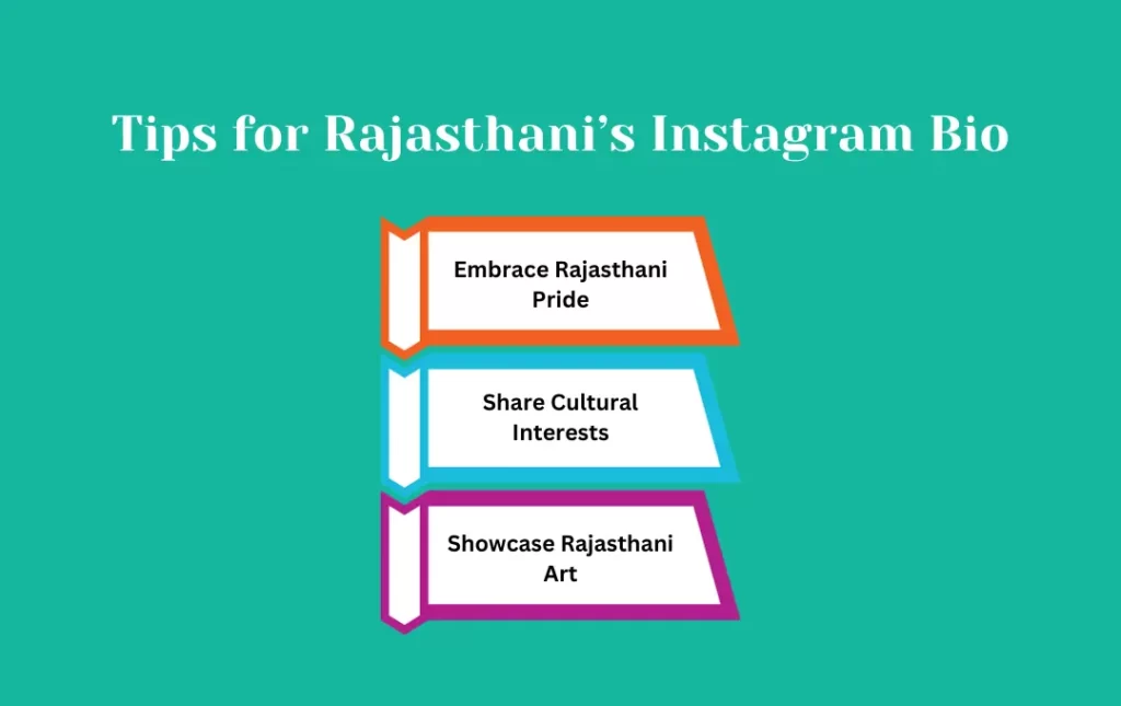 Infographics:  Tips for Rajasthani’s Instagram Bio