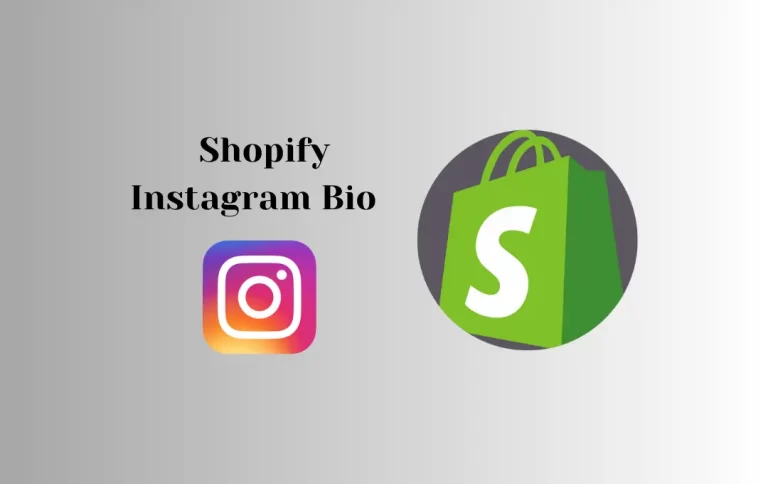 Best Shopify Instagram Bio | How to Add Shopify Link to Instagram Bio