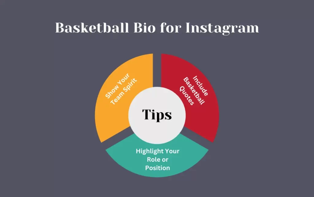 Infographics : Tips for Basketball Bio for Instagram