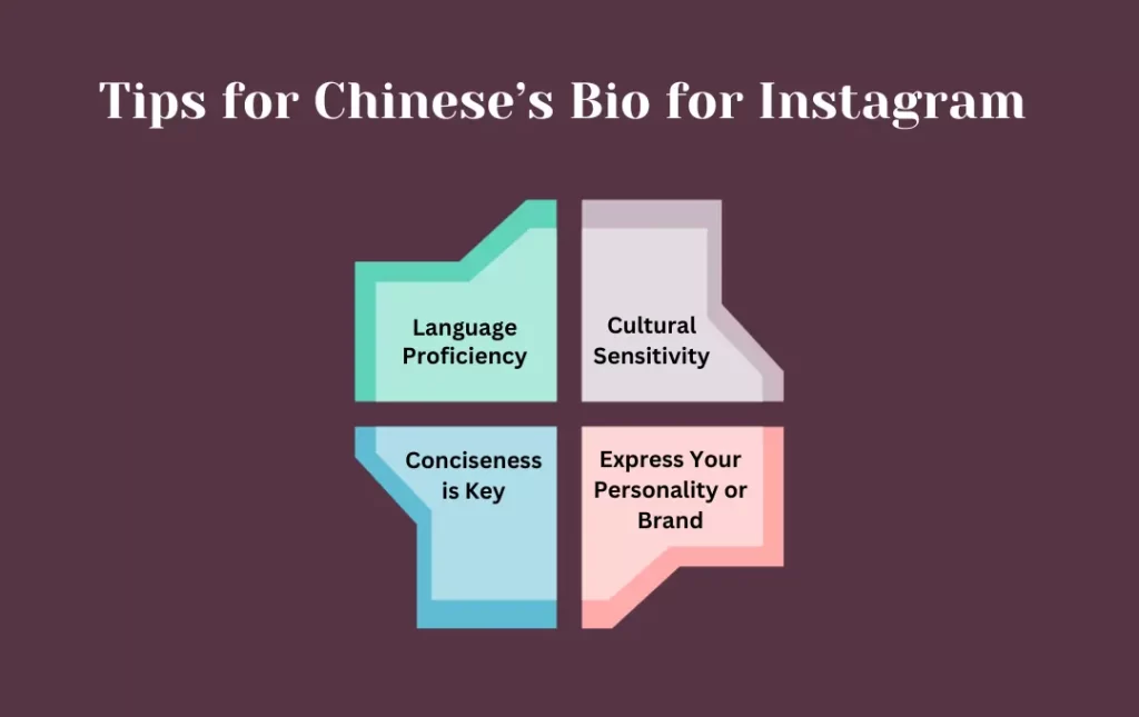 Infographics: Tips for Chinese’s Bio for Instagram 