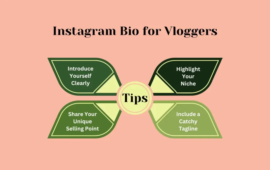 Infographics: Tips for Instagram Bio for Vloggers