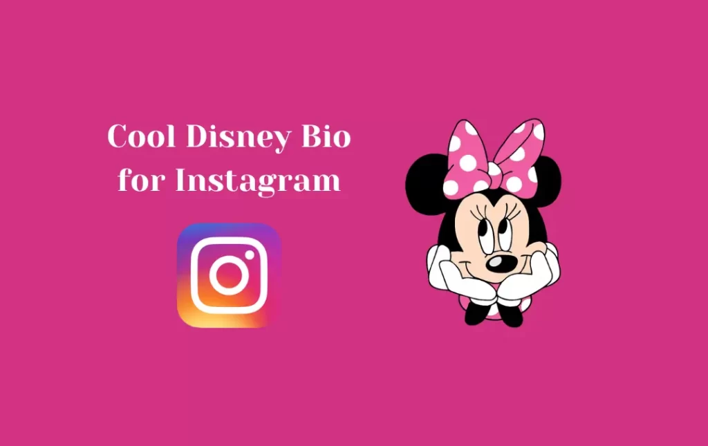 Cool Disney Bio for Instagram