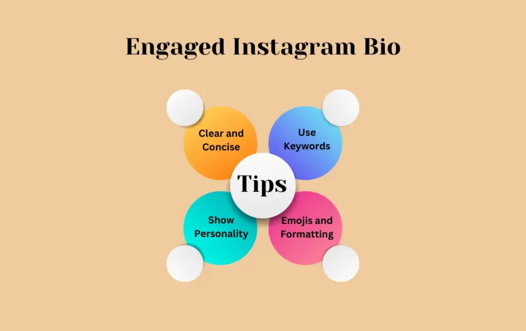 Infographics: Tips for Engaged Instagram Bio