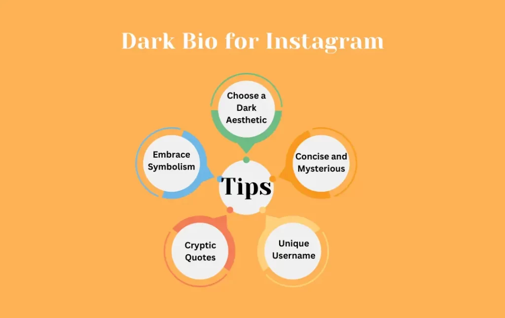 Infographics: Tips Dark Bio for Instagram