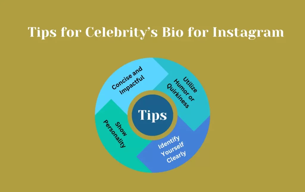 Infographics: Tips for Celebrity’s Bio for Instagram 