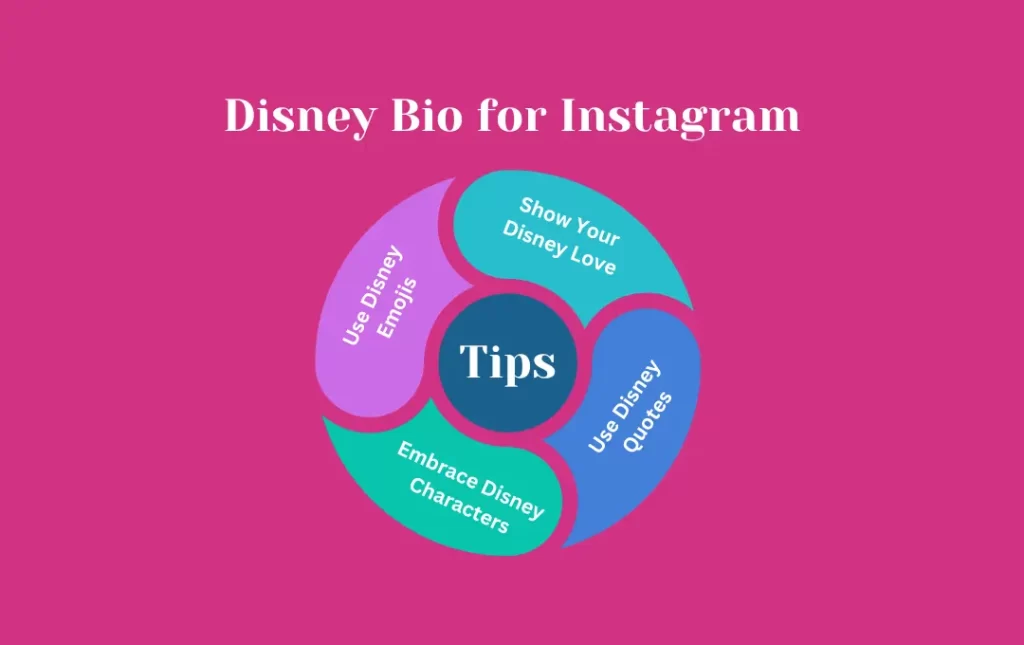 Infographics: Tips for Disney Bio for Instagram