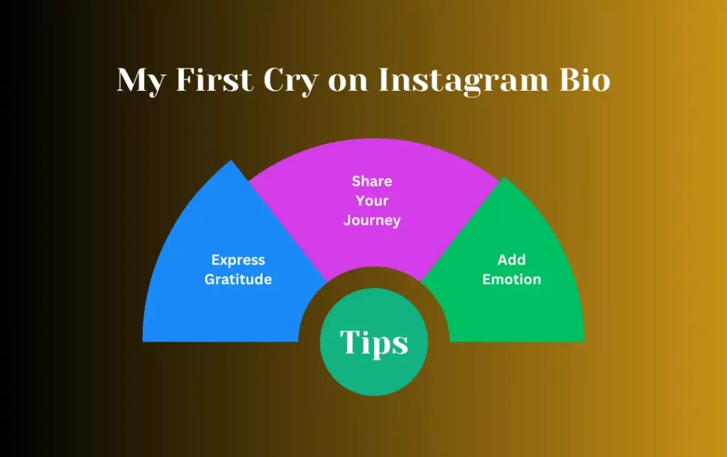 Infographics: Tips for My First Cry on Instagram Bio