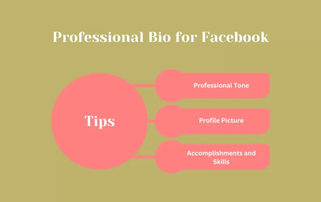 Infographics: Tips for Professional Bio for Facebook