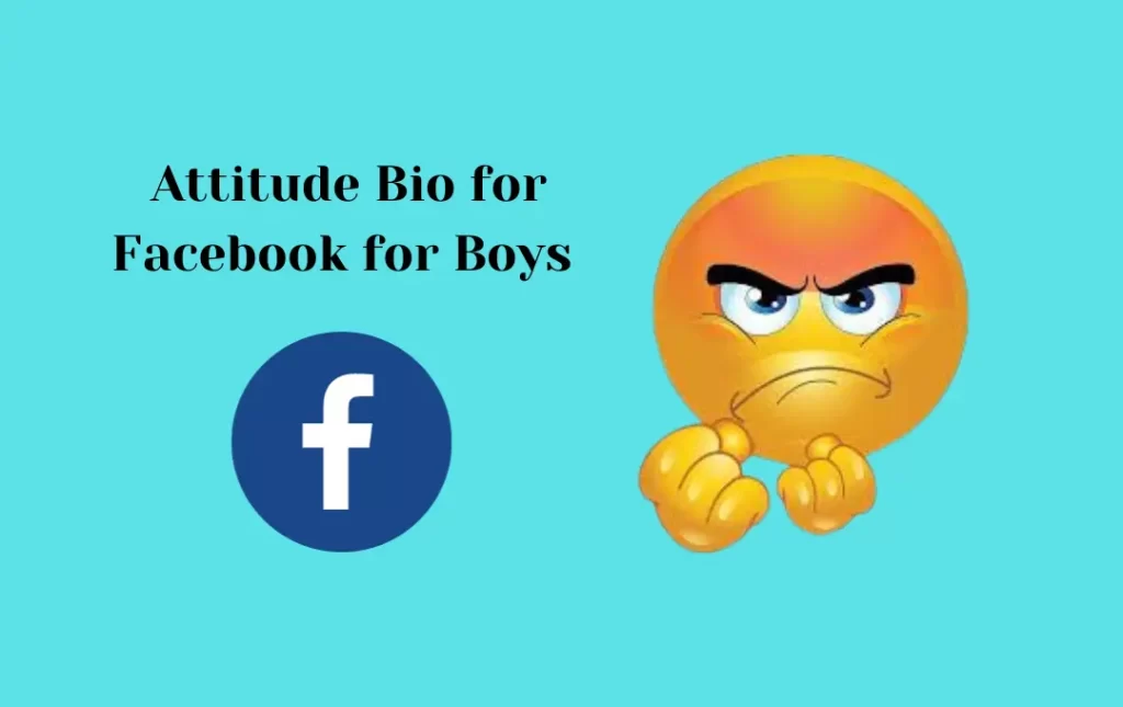  Attitude Bio for Facebook for Boys