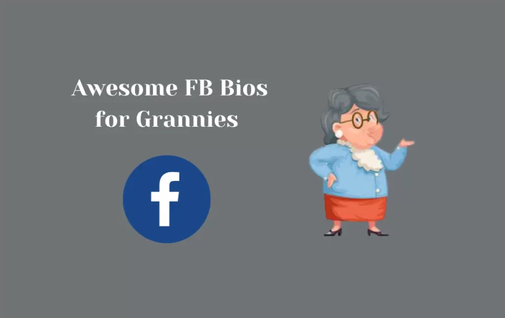  Awesome FB Bios for Grannies