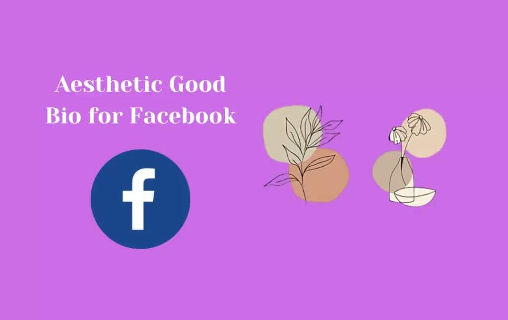 Aesthetic Good Bio for Facebook
