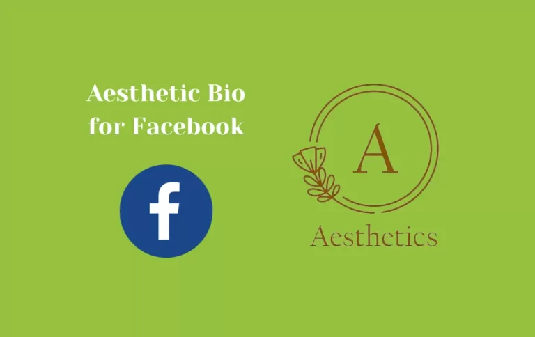 Aesthetic Bio for Facebook | Top Aesthetic Bios to Make Your Profile Attractive