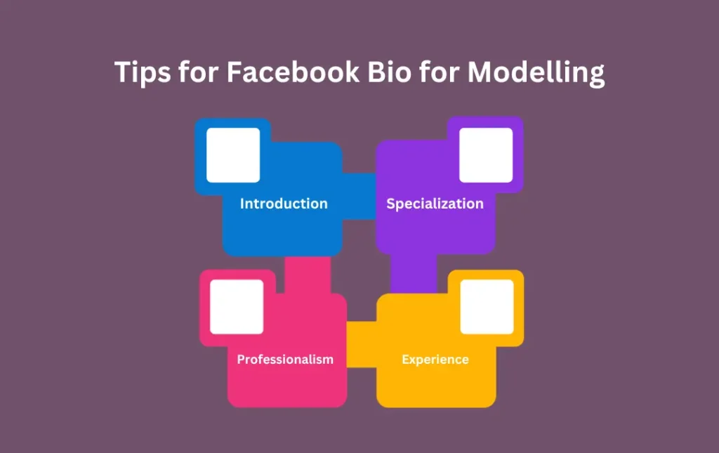 Infographics: Tips for Facebook Bio for Modelling