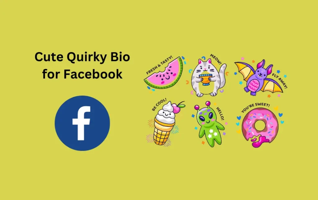 Cute Quirky Bio for Facebook