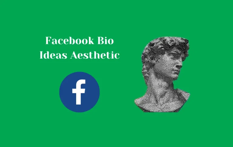 Best Facebook Bio Ideas Aesthetic | Top Aesthetic FB Bio Ideas