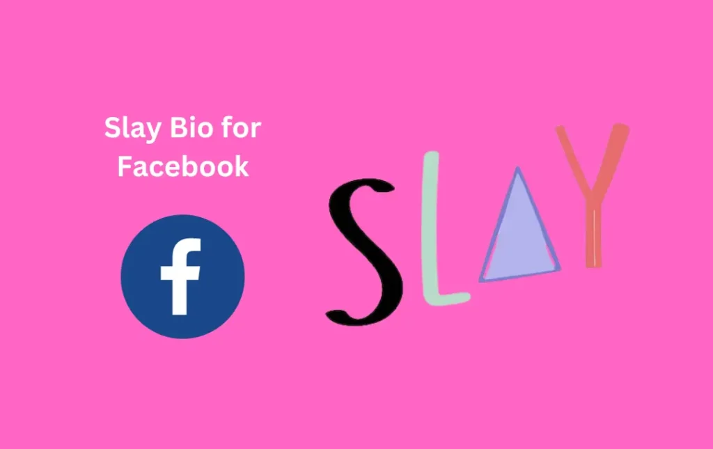 Slay Bio for Facebook