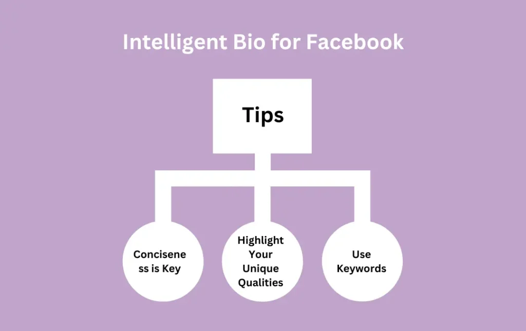 Infographics: Tips for Intelligent Bio for Facebook
