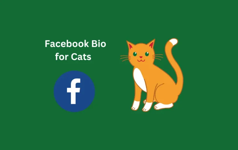 Awesome Facebook Bio for Cats | Top & Exceptional Cat Lover FB Bios in 2024