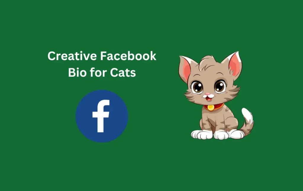 Creative Facebook Bio for Cats