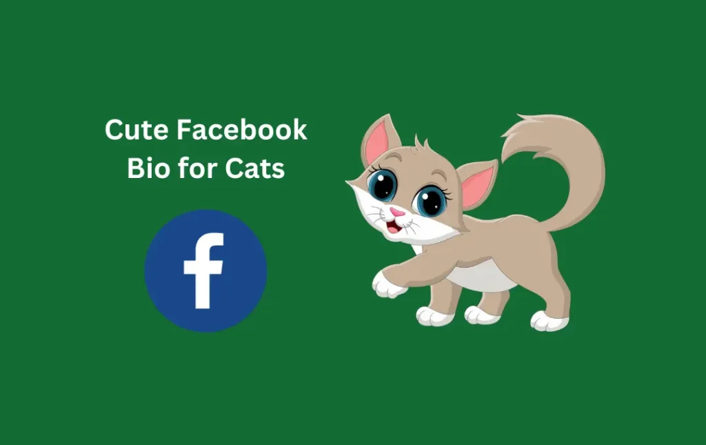 Cute Facebook Bio for Cats