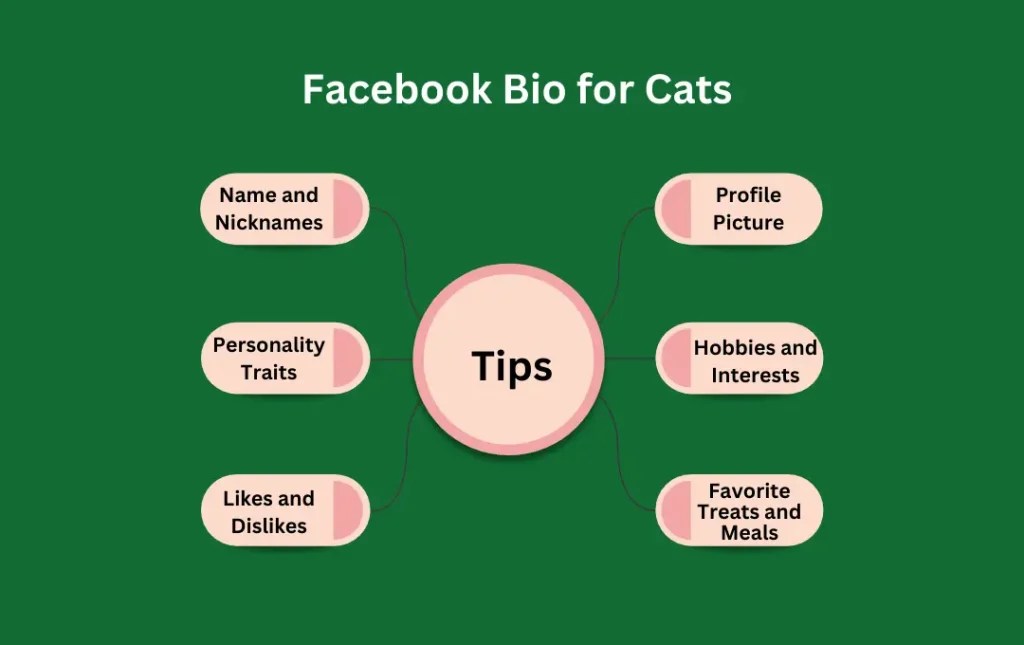Infographics: Tips for  Facebook Bio for Cats 